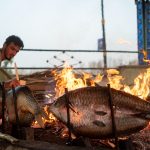 Makanan Tradisional Irak