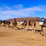 fakta firaun sebagai tuhan