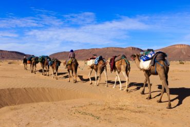 fakta firaun sebagai tuhan