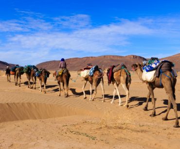 fakta firaun sebagai tuhan