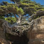 Inilah Benda-Benda Unik dan Ajaib di Zaman Rasulullah, Pasti Bikin Kita Takjub dan Heran