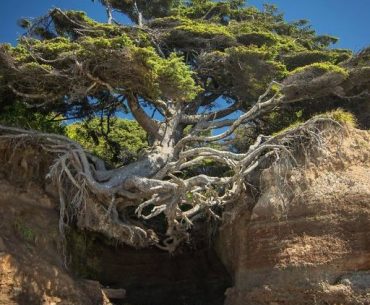 Inilah Benda-Benda Unik dan Ajaib di Zaman Rasulullah, Pasti Bikin Kita Takjub dan Heran