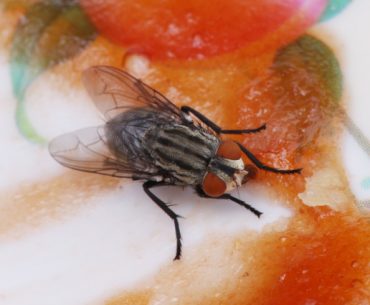 keajaiban sunnah nabi