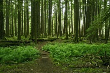 kisah rasulullah mengelola kekayaan alam