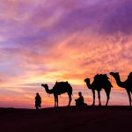 nabi daud (source shutterstock)