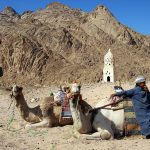 Terungkap, Ternyata Ini Sosok Anak Nabi Muhammad