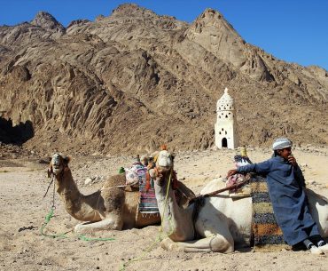 Terungkap, Ternyata Ini Sosok Anak Nabi Muhammad