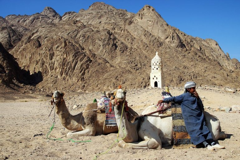Terungkap, Ternyata Ini Sosok Anak Nabi Muhammad Terungkap, Ternyata Ini Sosok Anak Nabi Muhammad