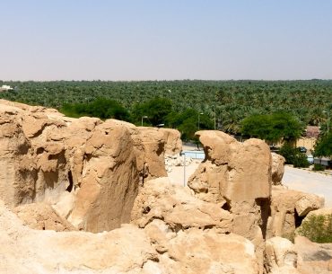 Menikmati Keindahan Al-Ahsa, Oasis Terbesar Di Dunia al-ahsa