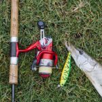 aturan berburu dalam islam