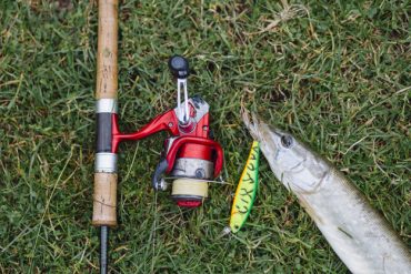 aturan berburu dalam islam