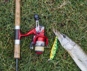 aturan berburu dalam islam