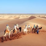 kisah ali bin abi thalib, utsman dan perempuan hamil