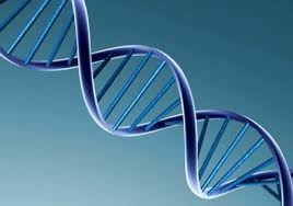 Genetika dan Bayi Anda