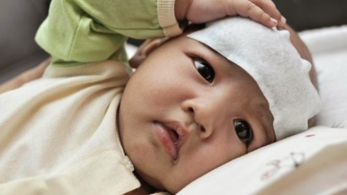 Panduan Tanpa Panik untuk Demam