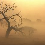 ucapan mendengar musibah