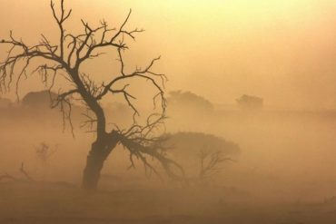 ucapan mendengar musibah