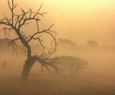 ucapan mendengar musibah