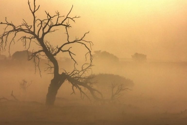 ucapan mendengar musibah