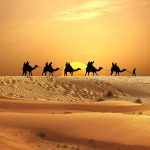 sultan abdul hamid ii