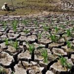 Jaminan Kesejahteraan Pemerintahan Islam Untuk Rakyat