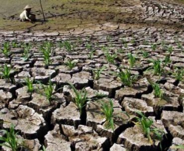 Jaminan Kesejahteraan Pemerintahan Islam Untuk Rakyat