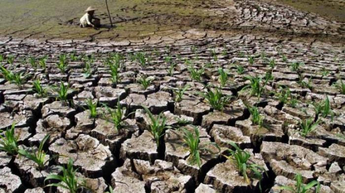 Jaminan Kesejahteraan Pemerintahan Islam Untuk Rakyat