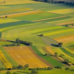 Solusi Penguasaan Lahan Menurut Islam (Part 1)