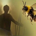 Kisah Ashim Bin Tsabit yang Jasadnya Dikerumuni Lebah (Part 1)