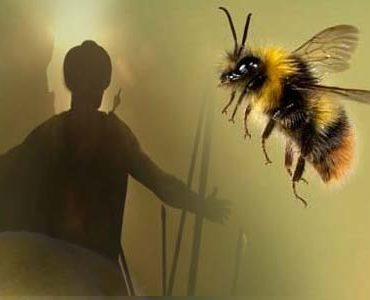 Kisah Ashim Bin Tsabit yang Jasadnya Dikerumuni Lebah (Part 1)