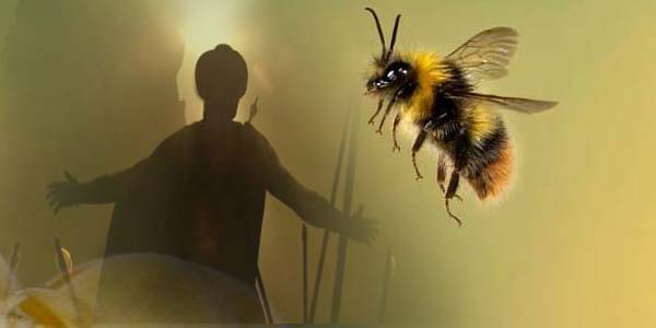 Kisah Ashim Bin Tsabit yang Jasadnya Dikerumuni Lebah (Part 1)