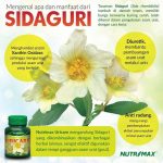 Ingin Mengatasi Asam Urat Secara Alami Berikut Tanaman Alami