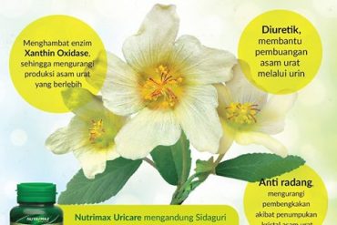 Ingin Mengatasi Asam Urat Secara Alami Berikut Tanaman Alami