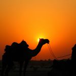 Beberapa Sifat Sahabat yang Wajib Diteladani (Part 4)