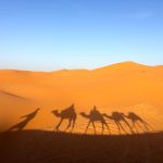 Berakhir Tragis, Inilah Akhir Hidup Umar bin Khattab