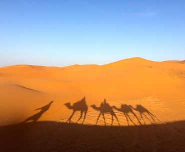 Berakhir Tragis, Inilah Akhir Hidup Umar bin Khattab