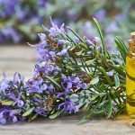 Bukan Hanya Wangi, Ini 7 Manfaat Minyak Lavender Bagi Kecantikan