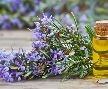 Bukan Hanya Wangi, Ini 7 Manfaat Minyak Lavender Bagi Kecantikan