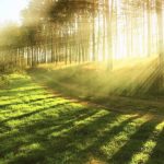 Lakukan 10 Hal Ini untuk Mendapatkan Cinta Allah