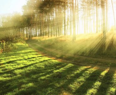 Lakukan 10 Hal Ini untuk Mendapatkan Cinta Allah