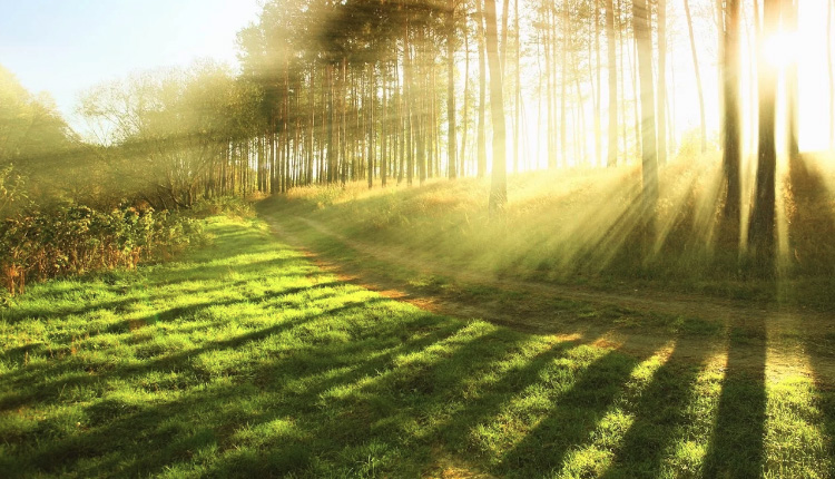 Lakukan 10 Hal Ini untuk Mendapatkan Cinta Allah