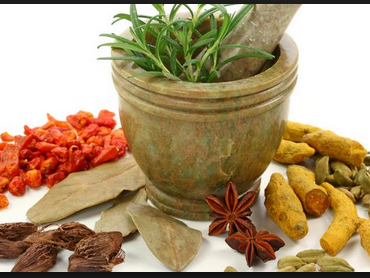 Obat-Obatan Tradisional Yang Dapat Digunakan Pada Pengobatan Hipertensi