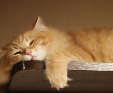 Jangan Mudah Mencap Seorang Ibu Pemalas Hanya Karna Hal-Hal Berikut (Part 2)