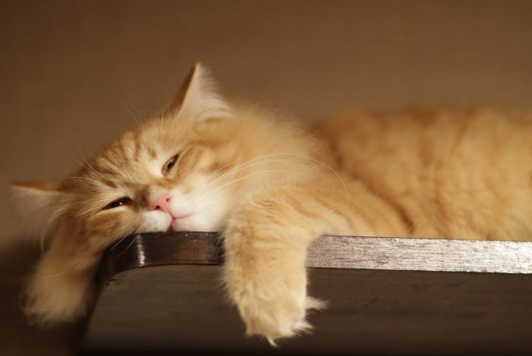 Jangan Mudah Mencap Seorang Ibu Pemalas Hanya Karna Hal-Hal Berikut (Part 2)