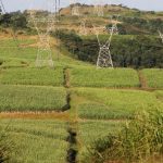 Inilah Solusi Islam Dalam Mengatasi Konflik Lahan