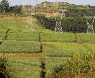 Inilah Solusi Islam Dalam Mengatasi Konflik Lahan