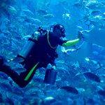 7 Aktivitas Seru yang Bisa Kamu Coba di Dubai