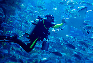 7 Aktivitas Seru yang Bisa Kamu Coba di Dubai