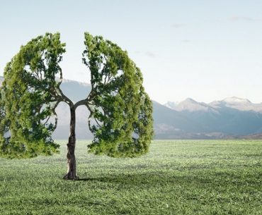 Pahami Metode Penyembuhan Pada Penyakit Asma Penyembuhan Asma