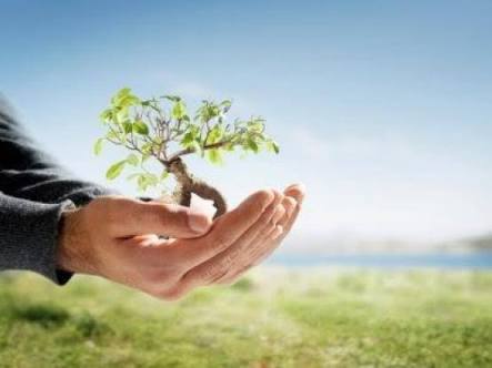Jangan Diabaikan, Ini Dia Istimewanya Bulan Rajab